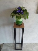 IMG20240924121921.jpg